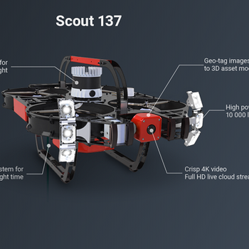 Scout 137