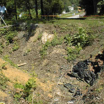 In Situ Vitrification