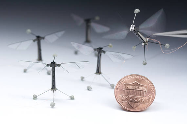 Robobees