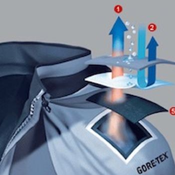 Gore-Tex fabric