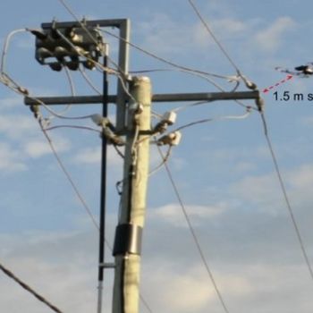 Power Pole Inspection