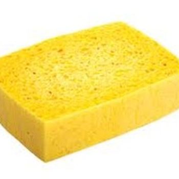 Sponges for absorbing liquids