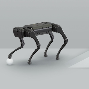 A1