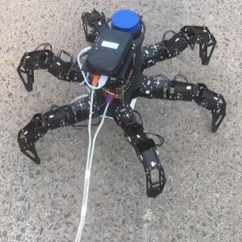 Spidey Bot