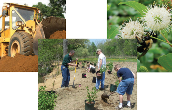 Ecological Revitalization