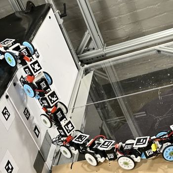 Rigid Snake Robot