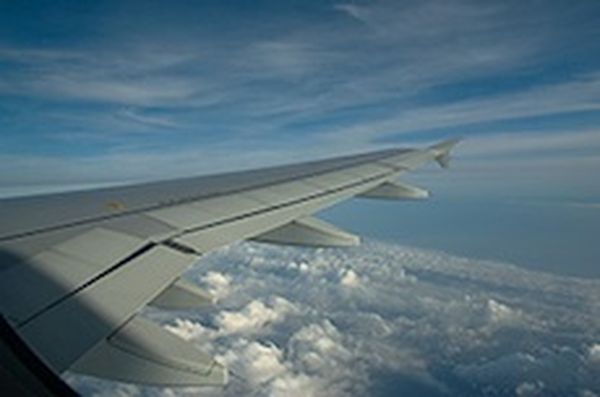 Aircraft wing shape