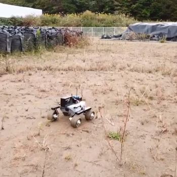 Turtle-Rad-Rover