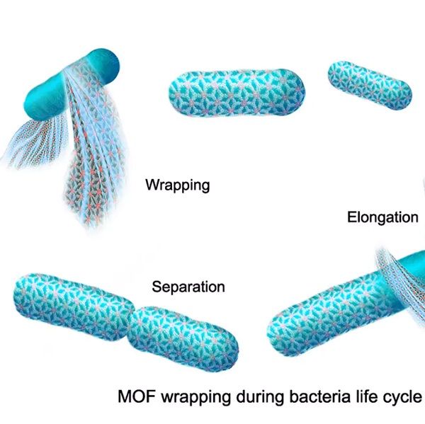 Microbial "Spacesuits"