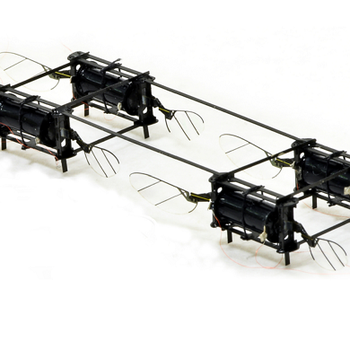 Insect Drone