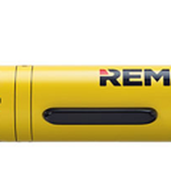 Remus 100