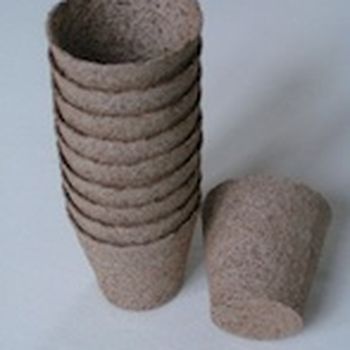 Temporary plant pots
