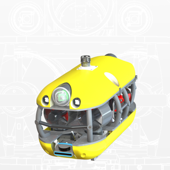 Tortuga