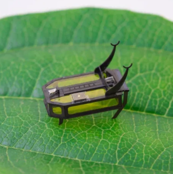 RoBeetle