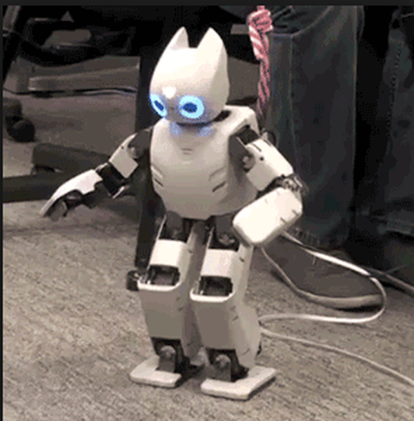 Darwin-OP Humanoid Research Robot