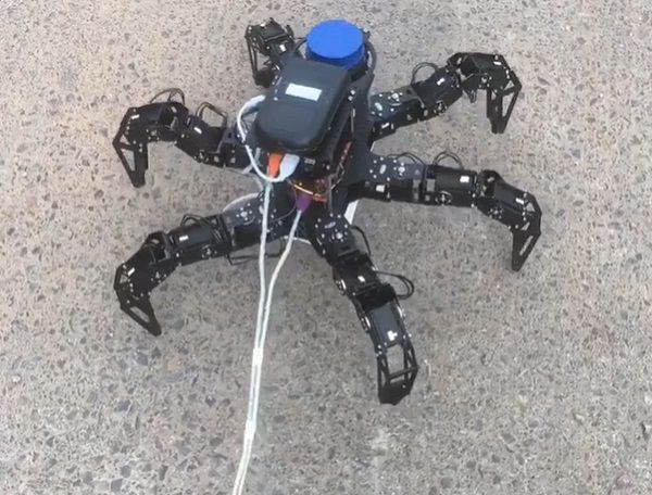 Spidey Bot