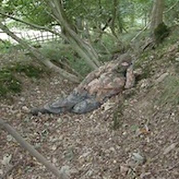 Camouflage