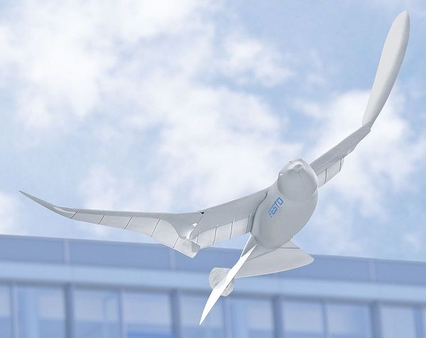 SmartBird