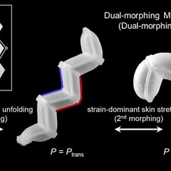 Dual-Morphing Stretchable Origami