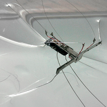 Water Spider Robot