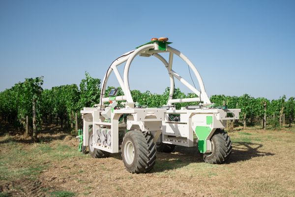 TED- Multifunctional straddling vineyard robot.