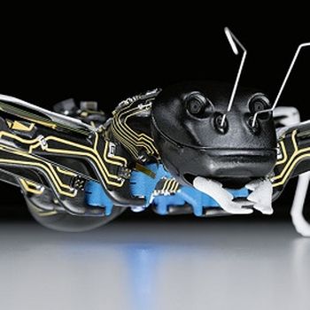 BionicANTs
