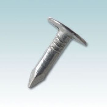 Clout head nail