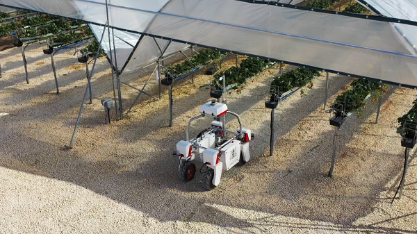 Robofruit