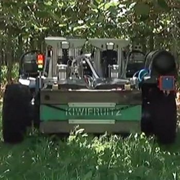 Kiwifruit Picker