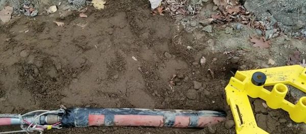 Earthworm