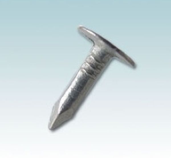 Clout head nail