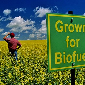 Biofuels