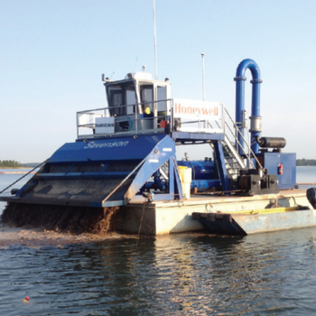 In Situ Sediment Amendments