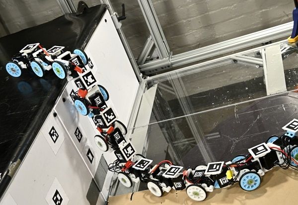 Rigid Snake Robot
