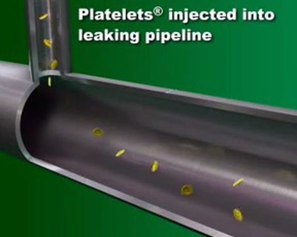 Platelets