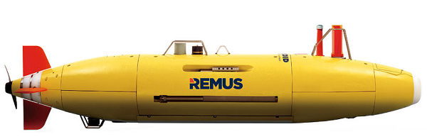 Remus 6000