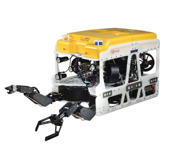 Cougar XT