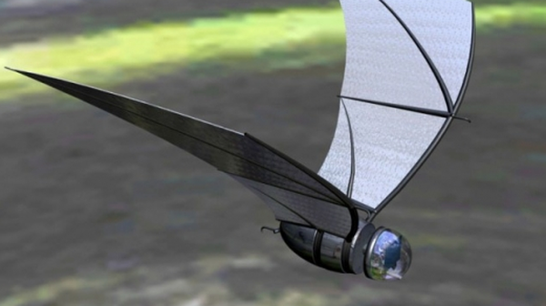 Spy Bat
