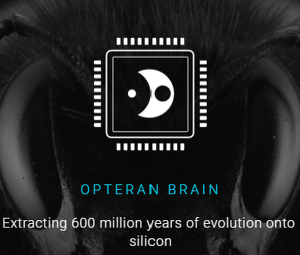 Opteran