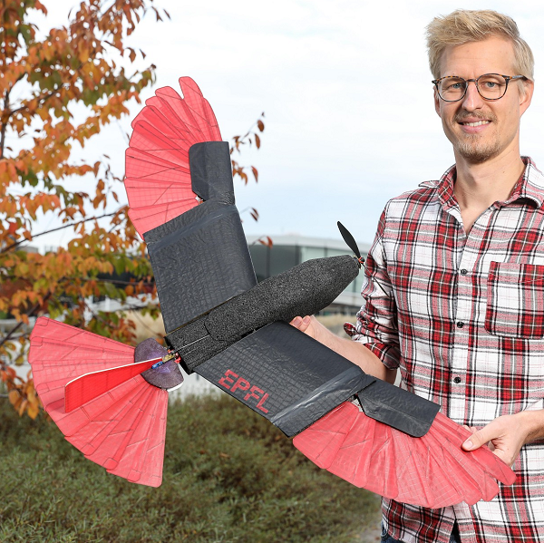 Feathered Wing Drone