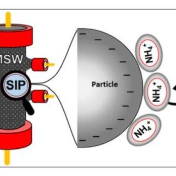 Spectral Induced Polarization