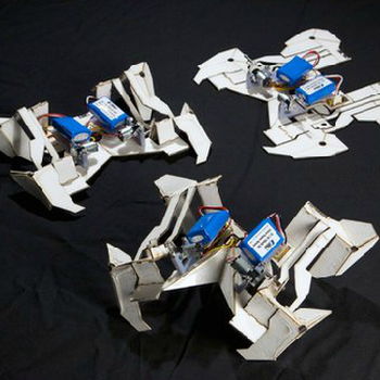 Self-Folding Robot