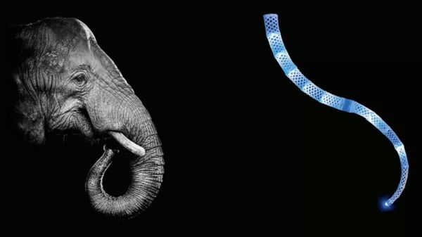 Bionic E-Trunk