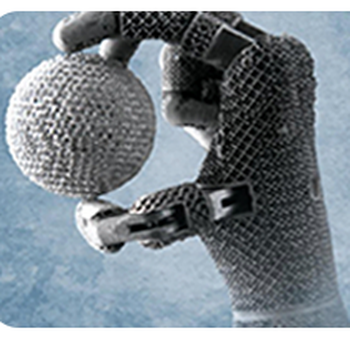 Robotic Hand