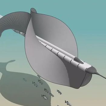 TWH Generator