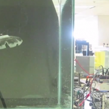 Ocean-powered robotic jellyfish