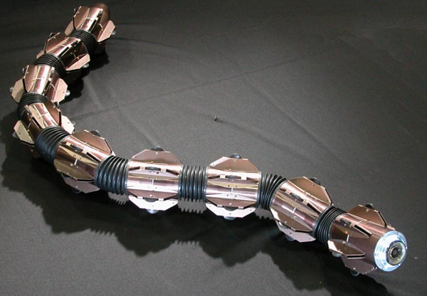 ACM-R5H Amphibious Snake Robot