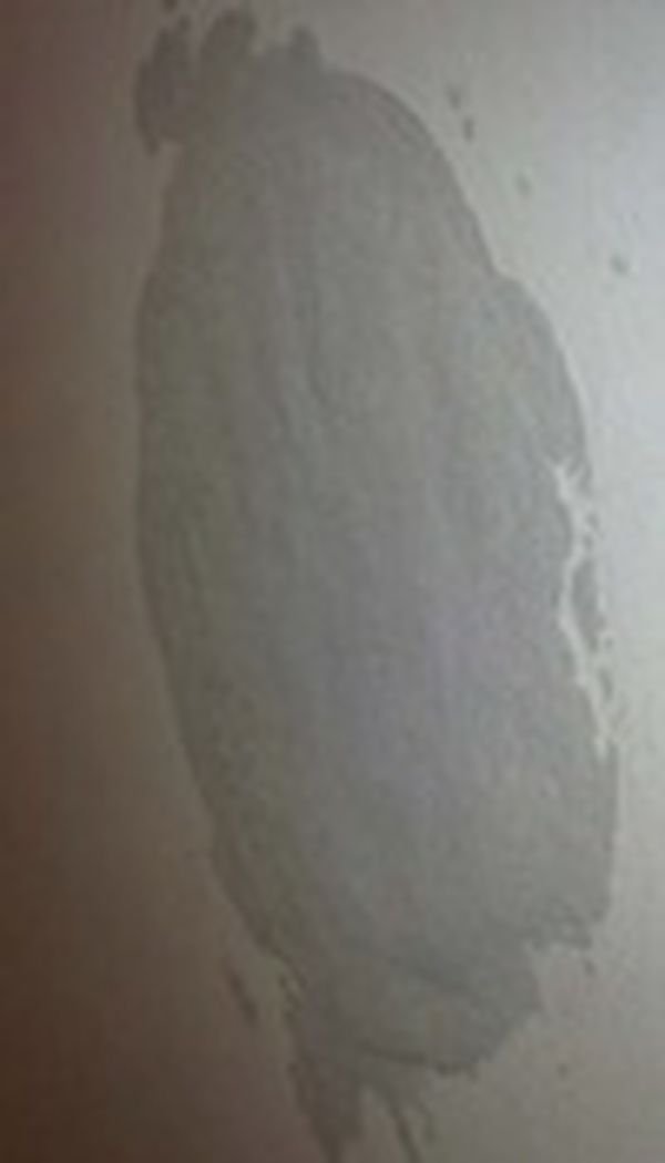 Overfill holes with plaster before rubbing down to a flat finish