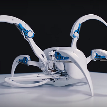 BionicWheelBot