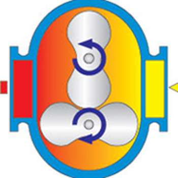 Roots type pump